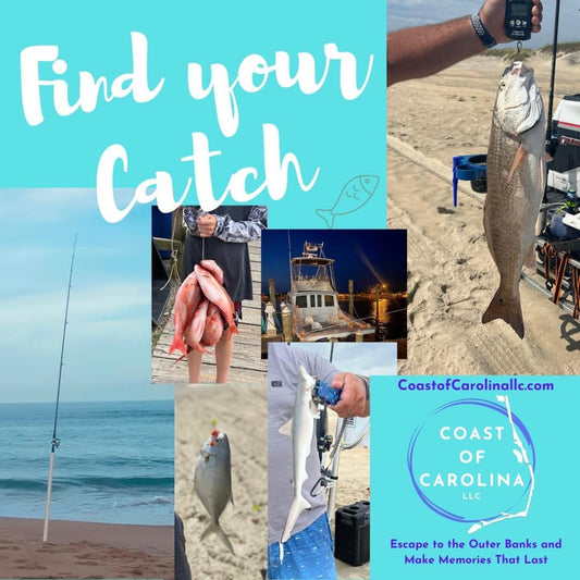 Coming soon! A collection of hand tied surf fishing rigs